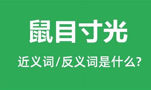 鼠目寸光的反义词是什么_鼠目寸光的反义词是什么 标准答案