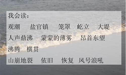 风号浪吼的意思四年级_风号浪吼的意思四年