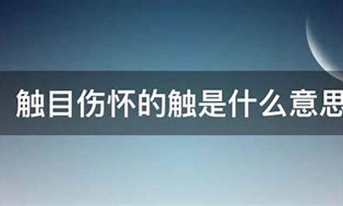 触目伤怀的意思是_触目伤怀的意思是什么?